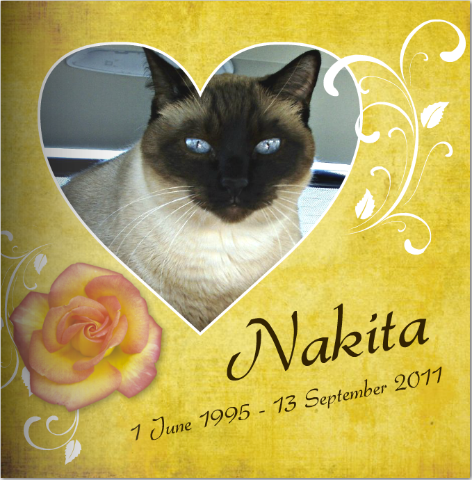 cat memorial photo book
