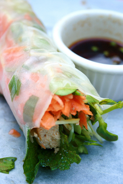 healthy spring roll recipes