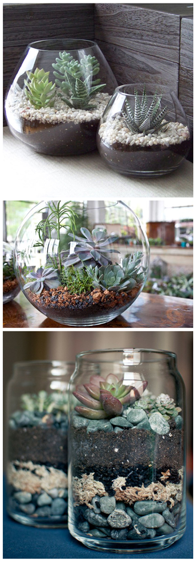 how to make fishbowl terrarium