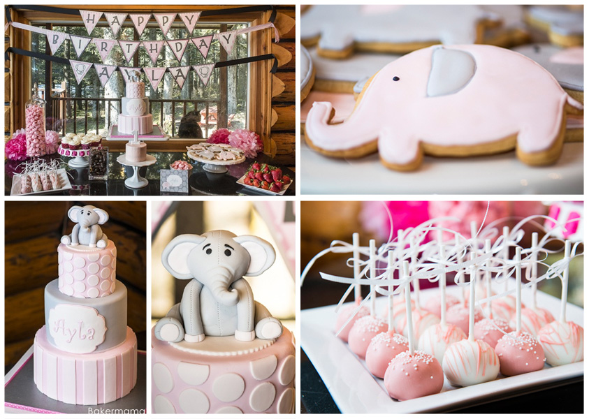 First Birthday Party Ideas