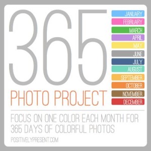 mixbook-365-photo-project-themes